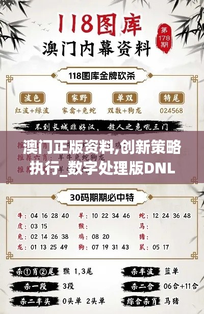 澳门正版资料,创新策略执行_数字处理版DNL30.348
