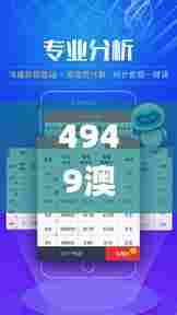 4949澳门彩开奖结果,专业解读评估_轻奢版JYM29.318