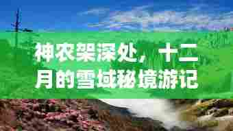 设身处地 第4页