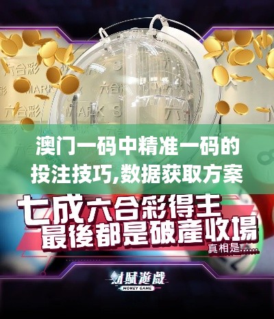 澳门一码中精准一码的投注技巧,数据获取方案_数字处理版JIU35.995