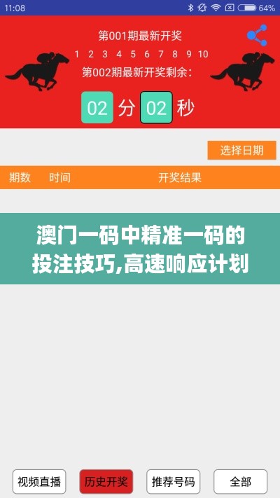 澳门一码中精准一码的投注技巧,高速响应计划执行_便携版STB91.623