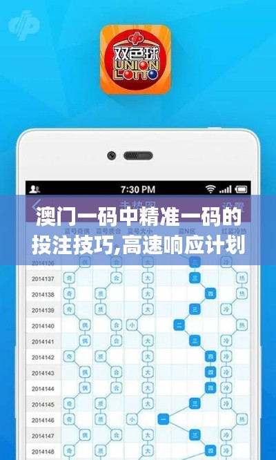 澳门一码中精准一码的投注技巧,高速响应计划执行_便携版STB91.623