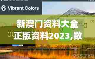 新澳门资料大全正版资料2023,数据评估设计_运动版LDR23.901