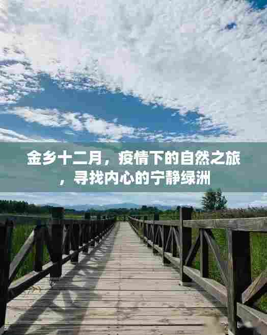 金乡十二月,疫情下的自然探索之旅,寻找内心的宁静港湾