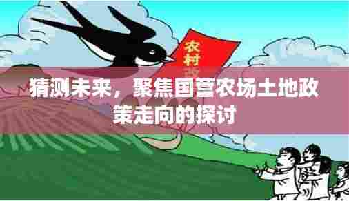 聚焦未来,国营农场土地政策走向深度探讨