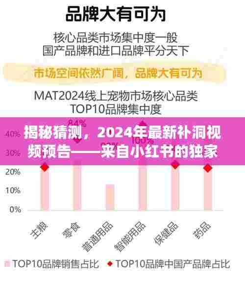 揭秘猜测,小红书独家洞察预告,2024年最新补洞视频即将上线