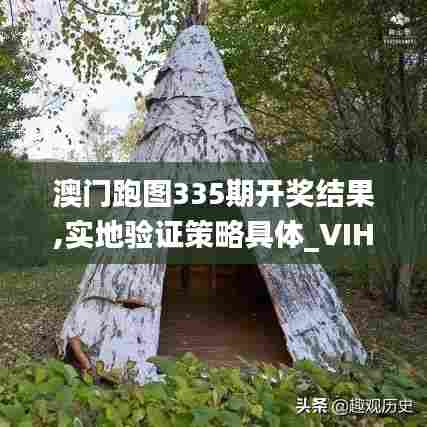 澳门跑图335期开奖结果,实地验证策略具体_VIH64.583远程版