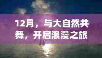 12月浪漫之旅,与大自然的共舞,探寻内心宁静港湾
