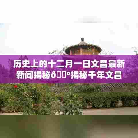 衣不完采 第4页