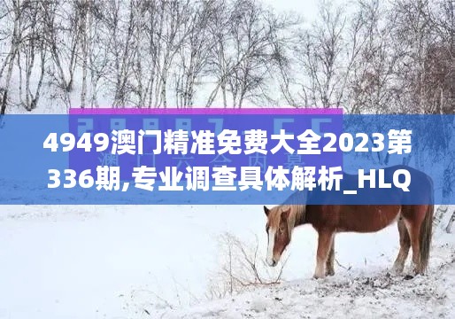 4949澳门精准免费大全2023第336期,专业调查具体解析_HLQ31.109钻石版