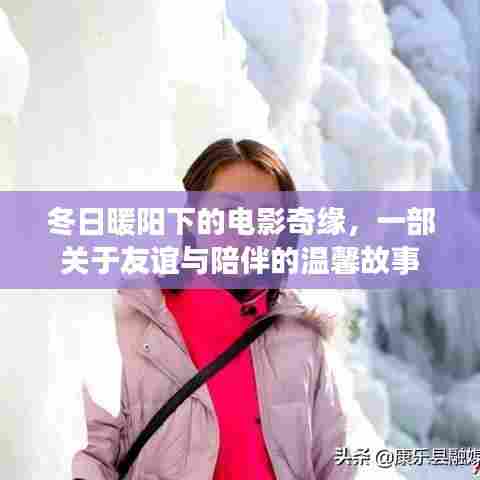 冬日暖阳下的电影奇缘,友谊与陪伴的温馨篇章