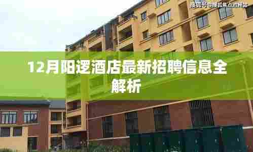 阳逻酒店最新招聘全解析(12月版)