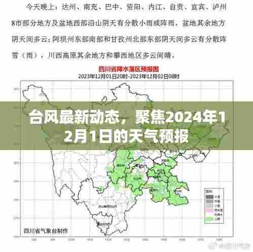 聚焦台风动态,2024年12月1日天气预报更新
