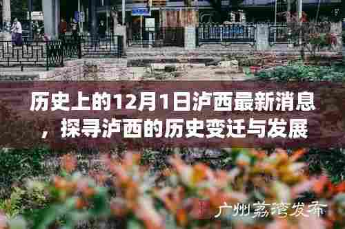 探寻泸西历史变迁与发展轨迹，最新消息聚焦12月1日泸西