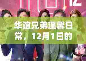 华谊兄弟温馨日常,纪念特别的12月1日记忆