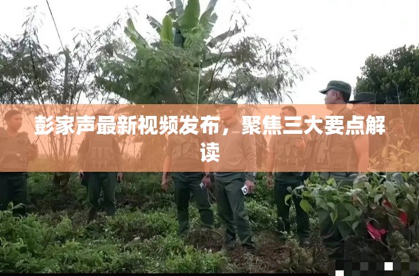 彭家声最新视频发布,深度解读三大要点