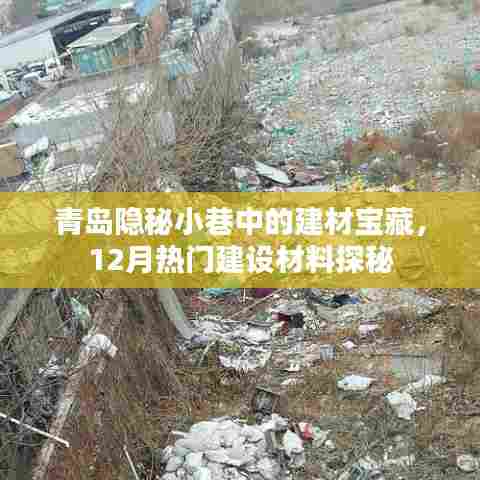 青岛隐秘小巷建材宝藏揭秘,12月热门建设材料探秘之旅