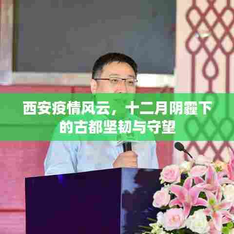 西安疫情风云,古都十二月的坚韧与守望