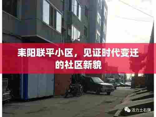 耒阳联平小区,时代变迁下的社区新貌见证