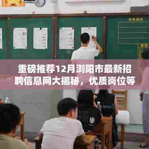 重磅推荐,浏阳市最新招聘信息网揭秘,优质岗位等你来选!