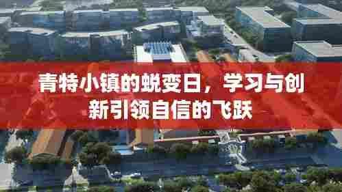 青特小镇蜕变日,学习与创新铸就自信飞跃之路