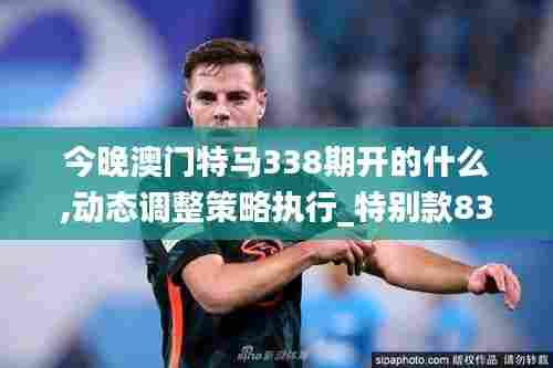 今晚澳门特马338期开的什么,动态调整策略执行_特别款83.768-4