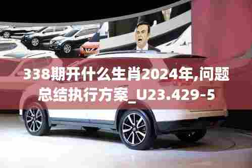 338期开什么生肖2024年,问题总结执行方案_U23.429-5