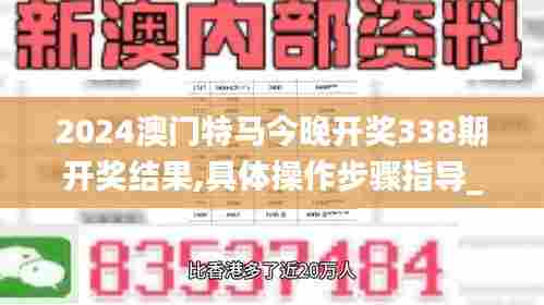 2024澳门特马今晚开奖338期开奖结果,具体操作步骤指导_Prime16.331-6