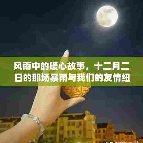 风雨中的暖心故事,十二月二日暴雨见证友情纽带