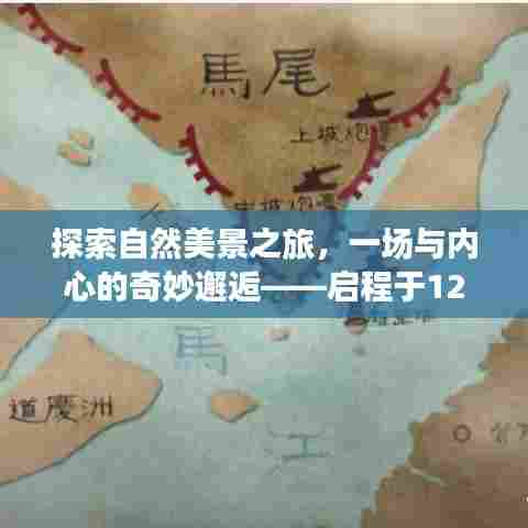 难能可贵 第3页