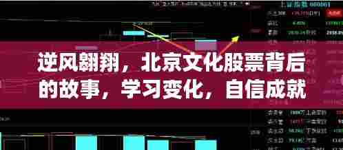 北京文化股票逆风翱翔,学习变化,自信塑造未来之路