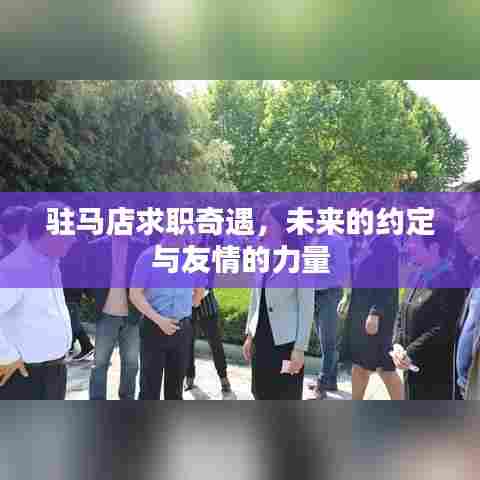 驻马店求职奇遇,未来约定与友情力量之旅
