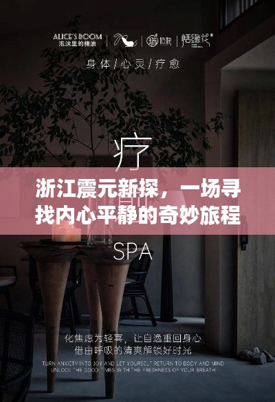 浙江震元新探,探寻内心平静的奇妙旅程