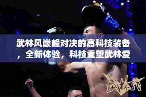 武林风巅峰对决的高科技装备,全新体验,科技引领武林爱好者革新