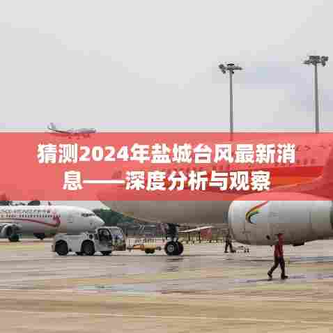 盐城台风最新动态,深度分析与观察(预测至2024年)