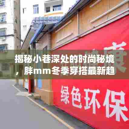 揭秘小巷深处的时尚秘境,胖mm冬季穿搭潮流展望——2024年12月最新趋势