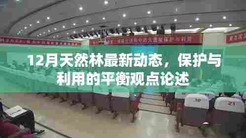 威风凛凛 第5页