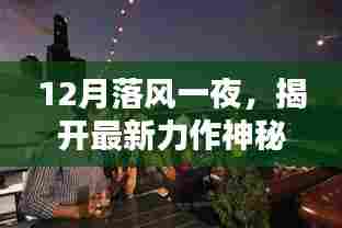 时代影响力揭秘,最新力作神秘面纱下的12月落风之夜