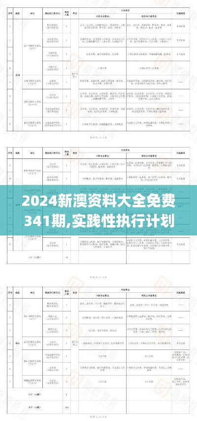 2024新澳资料大全免费341期,实践性执行计划_CT10.142