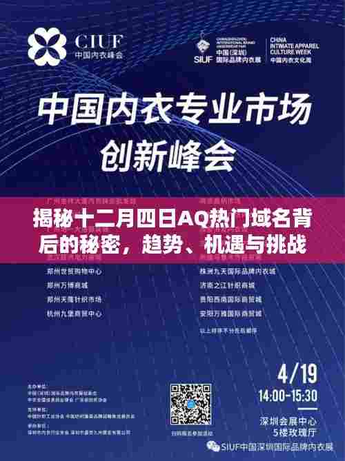揭秘AQ热门域名背后的秘密,趋势、机遇与挑战的探讨(十二月四日特辑)