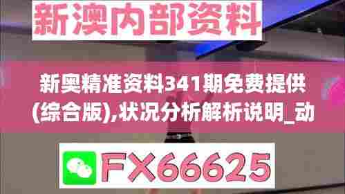 新奥精准资料341期免费提供(综合版),状况分析解析说明_动态版1.754