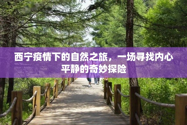 西宁疫情下的自然之旅,内心平静的奇妙探险之旅
