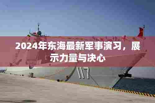 2024年东海军事演习,力量与决心的展示