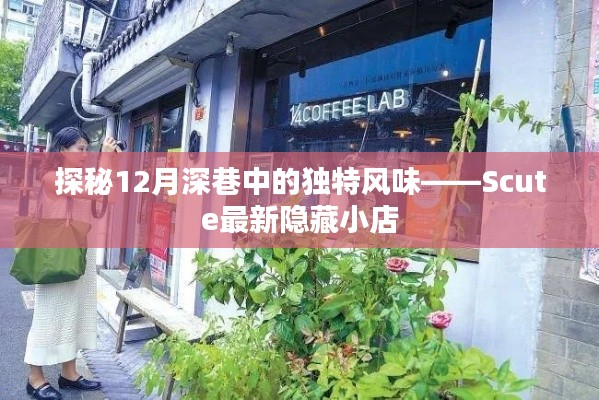 探秘深巷隐藏小店,Scute最新特色风味揭秘