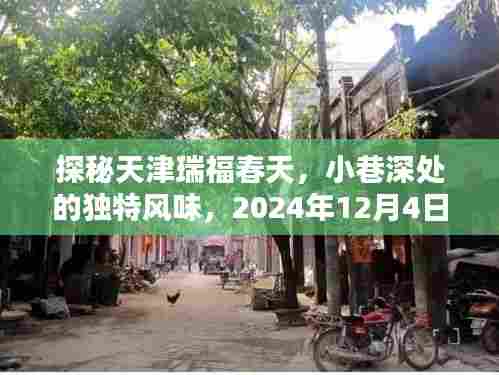 天津瑞福春天小巷揭秘,独特风味背后的故事(最新报道)