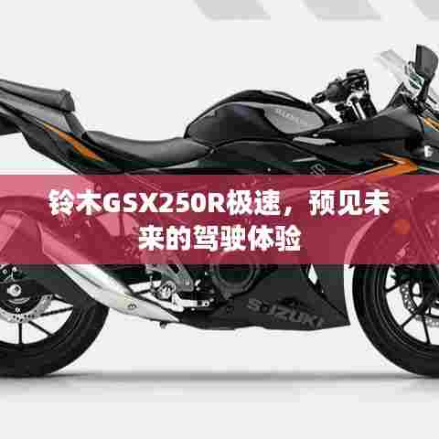 铃木GSX250R,极速驾驶,预见未来之旅