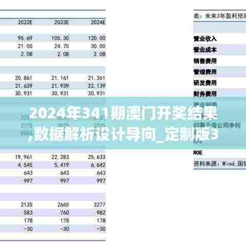 2024年341期澳门开奖结果,数据解析设计导向_定制版3.197