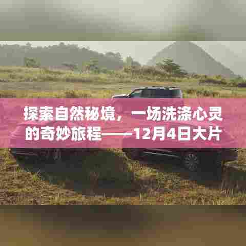 探索自然秘境,心灵洗涤之旅——领略震撼自然的绝美风光大片