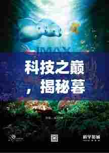 科技之巅揭秘,暮春堂最新热门地址体验未来科技产品的魅力