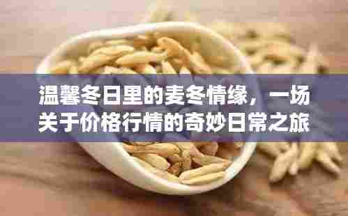 麦冬情缘,冬日行情之旅的奇妙日常